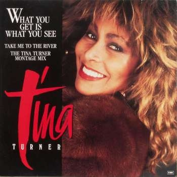 TINA TURNER - WHAT YOU GET IS WHAT YOU SEE